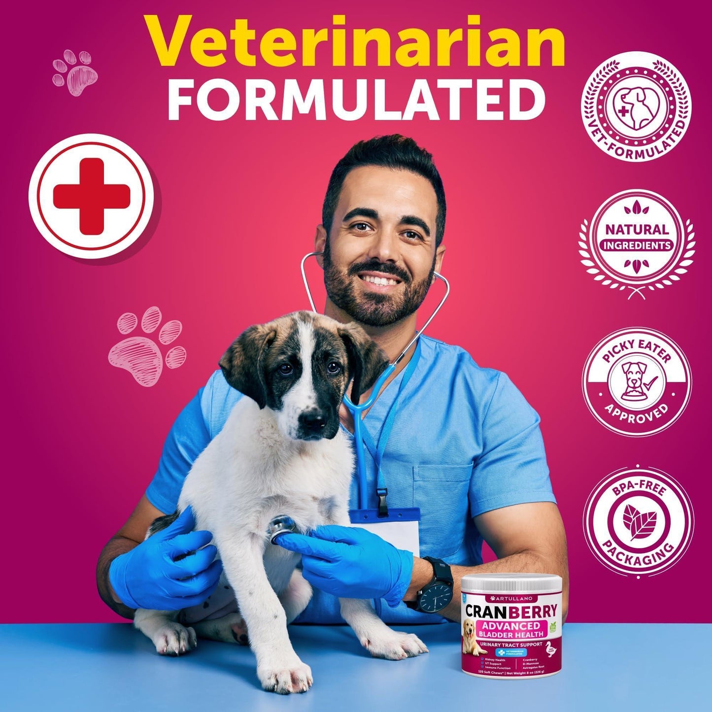 Dog UTI Treatment Cranberry Supplement and Bladder Control for Dogs UTI Chewable Treats (2 Pack) 240 Chews for Kidney Support Bladder Stones Urinary Tract Infection Incontinence Treatment