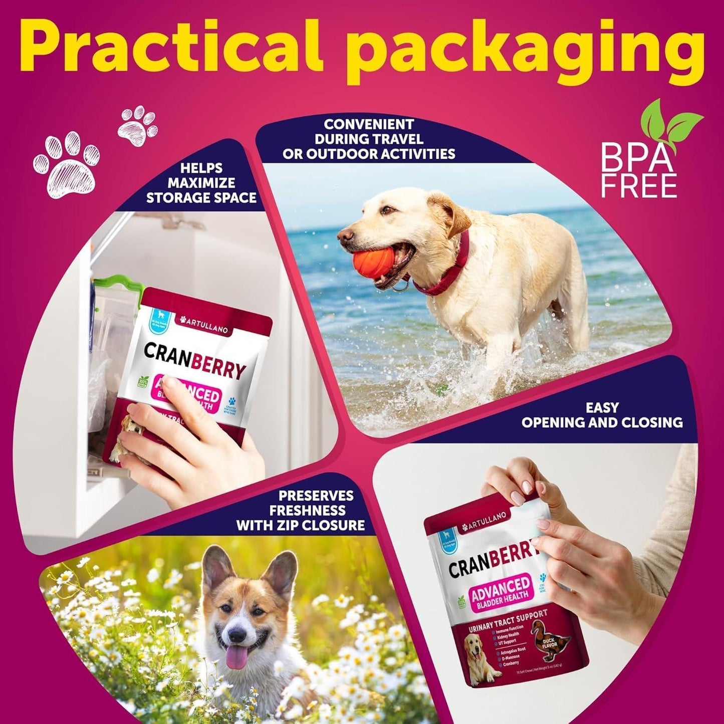 Dog UTI Treatment Cranberry Supplement Bladder Control for Dogs 70 Soft Chews
