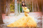 Women's Stitching Mesh Pregnant Floating Tail Long Dresses