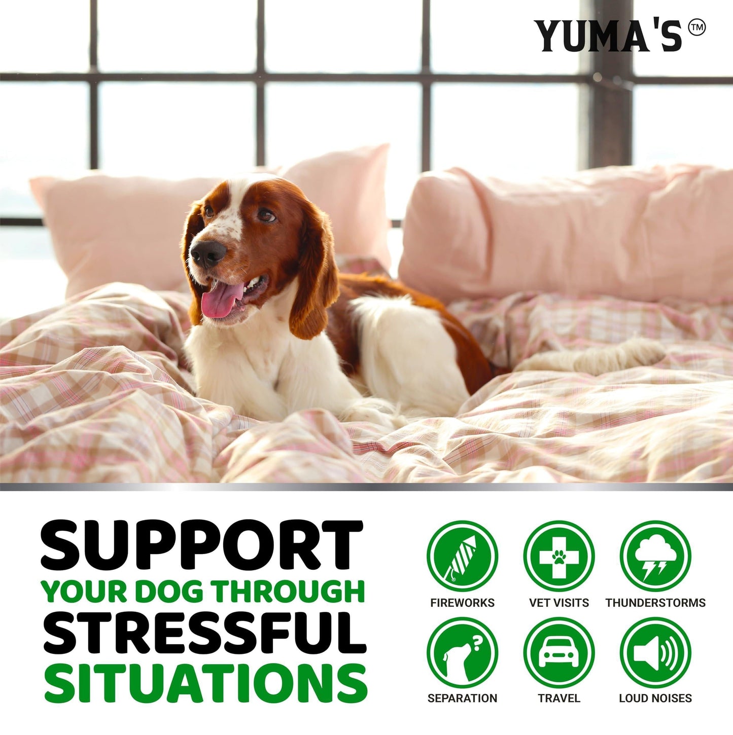 Hemp Calming Chews for Dogs   Advanced Dog Calming Chews   170 Treats   Anxiety Relief Treats   Hemp Oil   Separation Aid Stress Hip and Joint Supplement for Canine Health Support   Beef Flavor