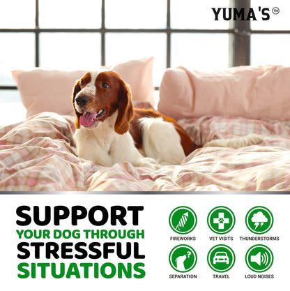Hemp Calming Chews for Dogs   Advanced Dog Calming Chews   170 Treats   Anxiety Relief Treats   Hemp Oil   Separation Aid Stress Hip and Joint Supplement for Canine Health Support   Beef Flavor