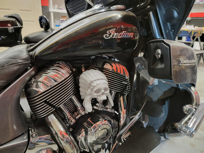 Chrome color Indian skull warbonnet Horn cover