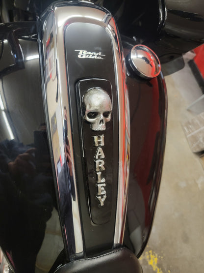 21+ touring console insert 3D ancient skull