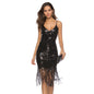 Women's Dress Deep Tassel Embroidered Sequins Sexy Dresses