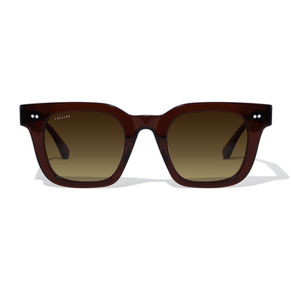 Cuadra 46mm Square Sunglasses | Brown