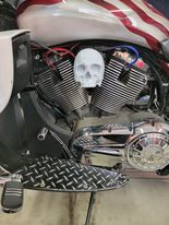 3D Ancient skull Victory "cheese wedge" replacement cover