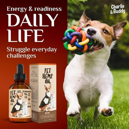 Charlie Buddy   Hеmp Oil for Dogs Cats   Hiр and Jоint Suppоrt and Skin Hеalth
