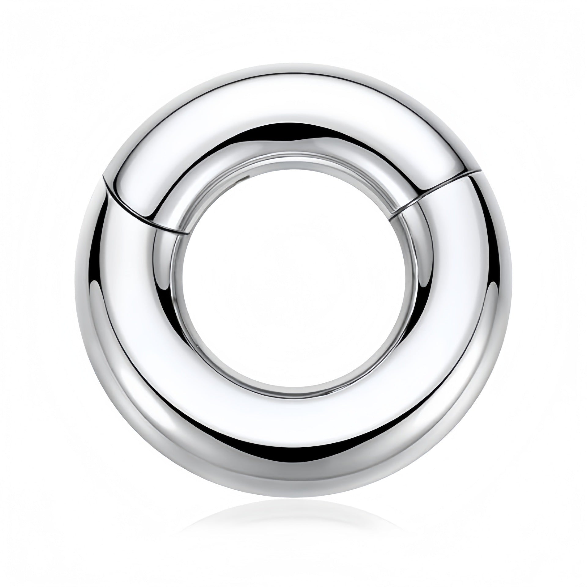 Titanium Steel Closed Lip Ring Human Body Piercing Accessories