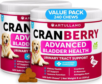 Dog UTI Treatment   Cranberry Supplement and Bladder Control for Dogs   UTI Chewable Treats (2 Pack)   240 Chews for Kidney Support   Bladder Stones   Urinary Tract Infection Incontinence Treatment