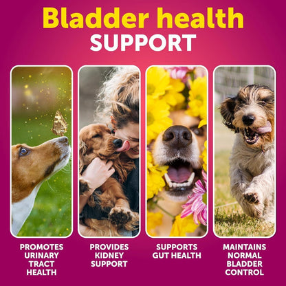 Dog UTI Treatment Cranberry Supplement Bladder Control for Dogs 70 Soft Chews
