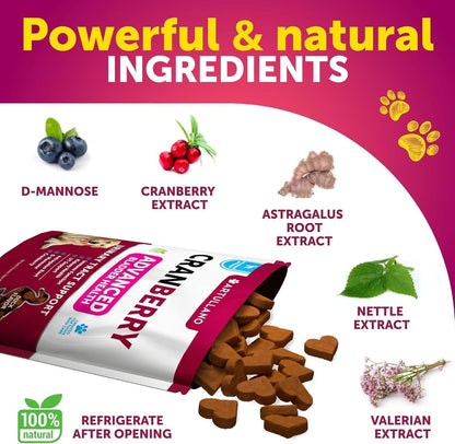 Dog UTI Treatment Cranberry Supplement Bladder Control for Dogs 70 Soft Chews