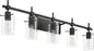 Vintage Vanity Lights with Glass Shade