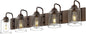 Farmhouse Glass Bathroom Vanity Light Fixture