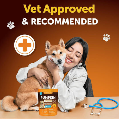 Pumpkin Powder for Dogs Digestive Support 8 OZ Fiber Supplement for