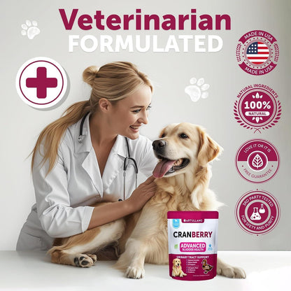Dog UTI Treatment Cranberry Supplement Bladder Control for Dogs 70 Soft Chews