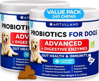 2 Pack Probiotics for Dogs 240 Soft Treats Chews for Gut Health Itchy Skin Allergies Immunity Yeast Balance 6 Dog Probiotics Digestive Enzymes with Prebiotic Fiber Reduce Diarrhea Gas