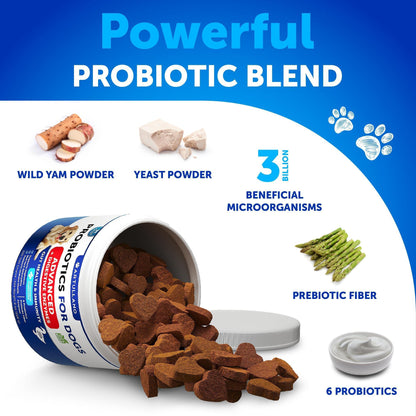 2 Pack Probiotics for Dogs 240 Soft Treats Chews for Gut Health Itchy Skin Allergies Immunity Yeast Balance 6 Dog Probiotics Digestive Enzymes with Prebiotic Fiber Reduce Diarrhea Gas