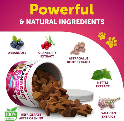 Dog UTI Treatment Cranberry Supplement & Bladder Control for Dogs Urinary