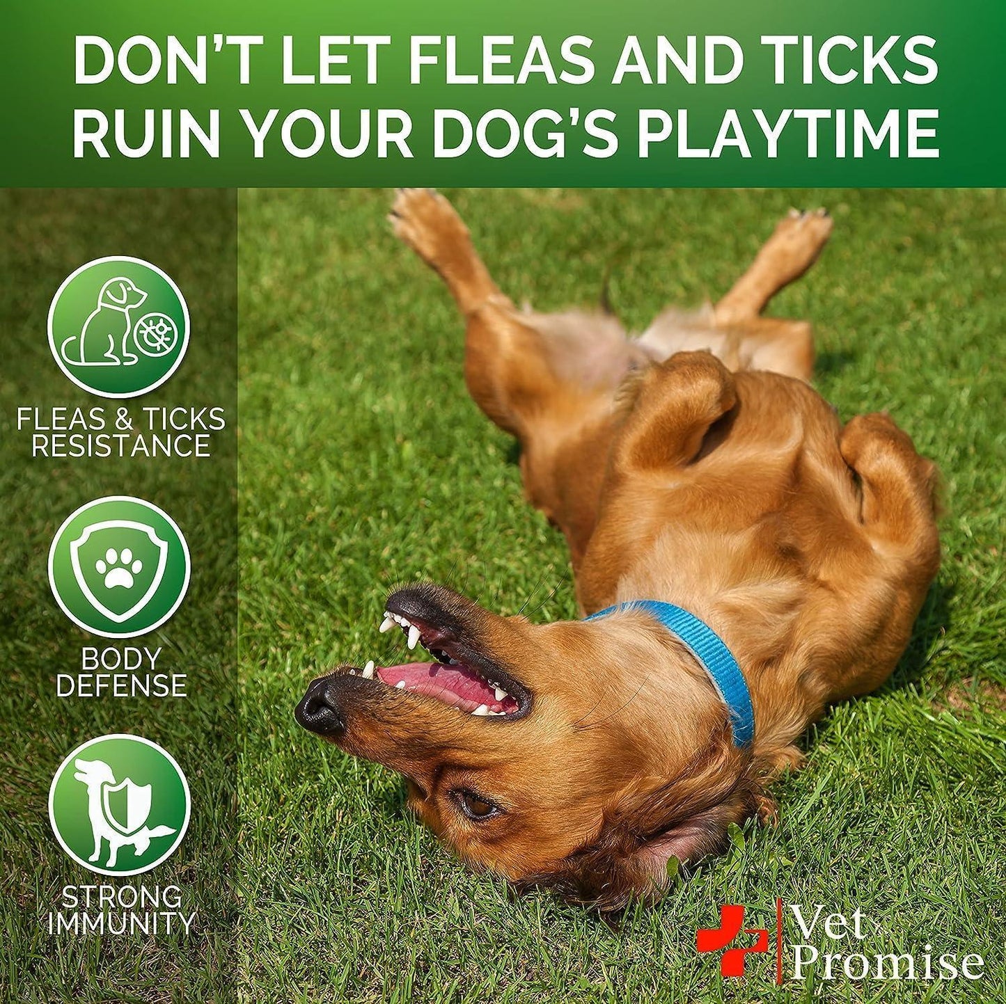(2 Pack) Flea and Tick Prevention for Dogs Chewables