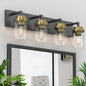 Vanity Light with Clear Glass Shade