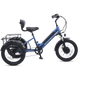 Viribus SC5 Fat Tire Electric Tricycle