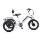 Viribus SC5 Fat Tire Electric Tricycle