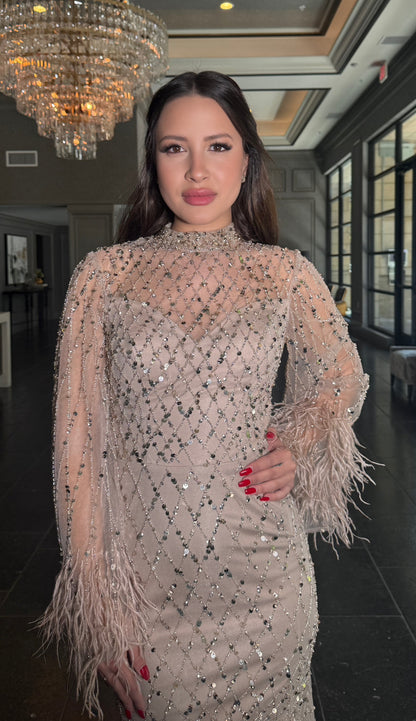 Hasina Modest Neckline Flare Long Sleeve Embellished Feather Dress