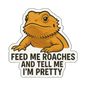 "Tell Me I'm Pretty" Funny Bearded Dragon Lizard Sticker