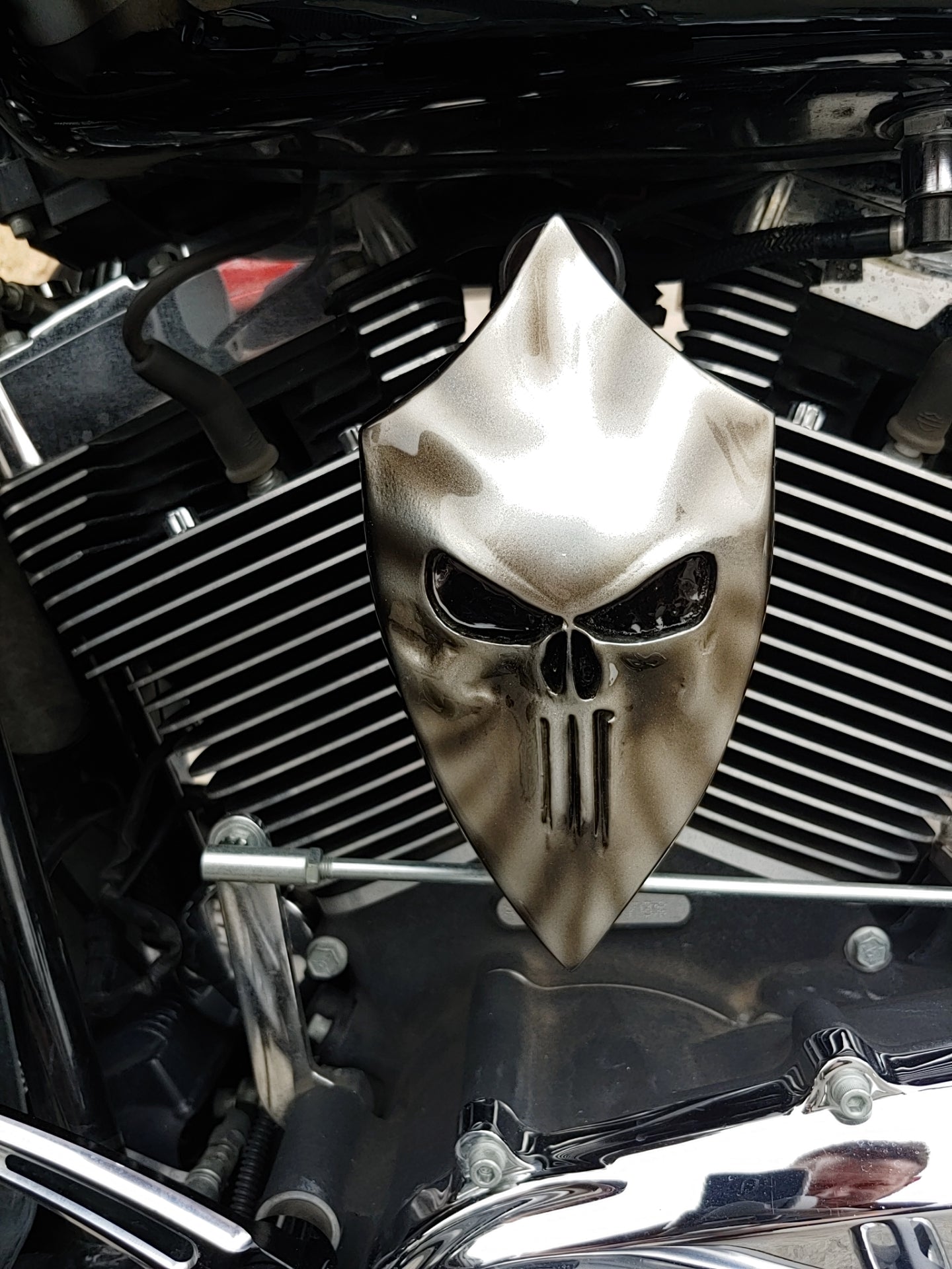 Custom horn cover with Punisher