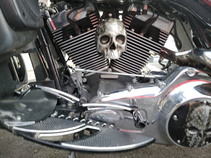 3D ancient skull with tattered American flag