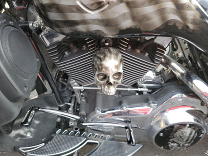3D ancient skull with tattered American flag