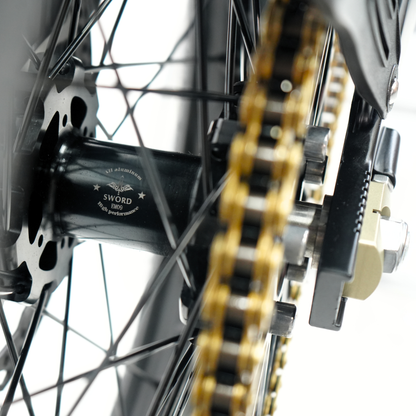 Ventus V1+ EVO Bike