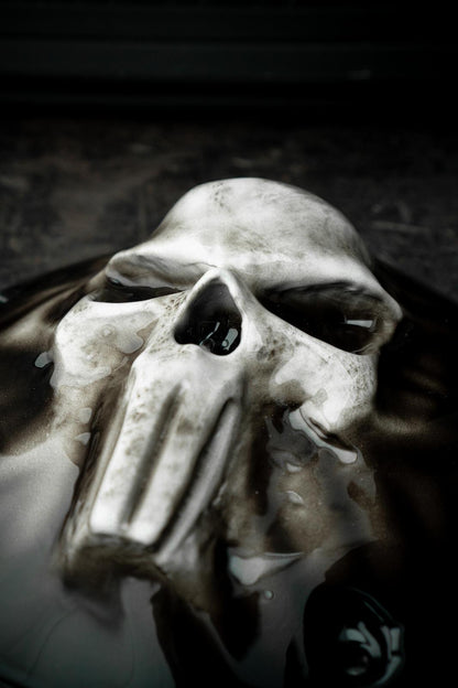 Punisher skull Harley derby and points cover