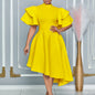 Fashion Elegant Flare Sleeve Solid Color Banquet Dress Dresses