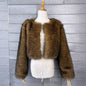 Women's Imitation Tuscan Fur Korean Style Solid Coats