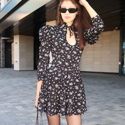 Women's Dress Inspirational Design Stylish Stand-up Collar Dresses