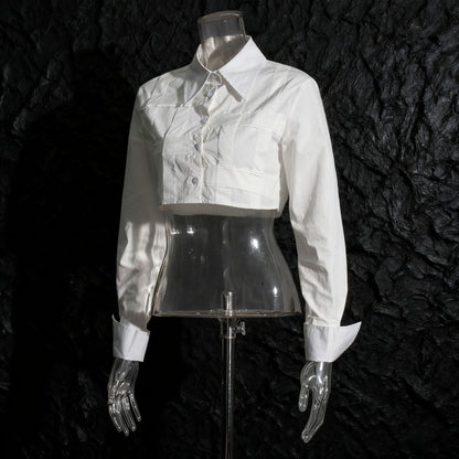 Design Sense Niche Shirt Autumn Solid Blouses