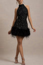 Women's Sexy Sleeveless Slim Shiny Plush Dress Dresses