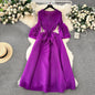 Women's Palace Dress Design Tassel Long Pleated Dresses