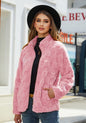 Women's Long Sleeve Zipper Loose Solid Color Coats