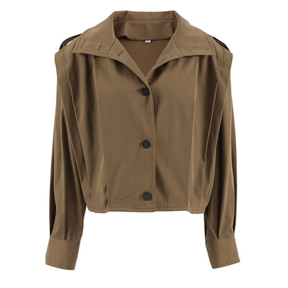Women's Design Pleated Lapel Autumn Loose Long Clothing