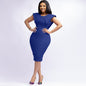 Women's Office Dress Sleeveless Square Collar Back Dresses