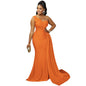 Women's Solid Color Party Tight Sleeve Dress Dresses