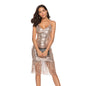 Women's Dress Deep Tassel Embroidered Sequins Sexy Dresses