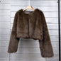 Women's Imitation Tuscan Fur Korean Style Solid Coats