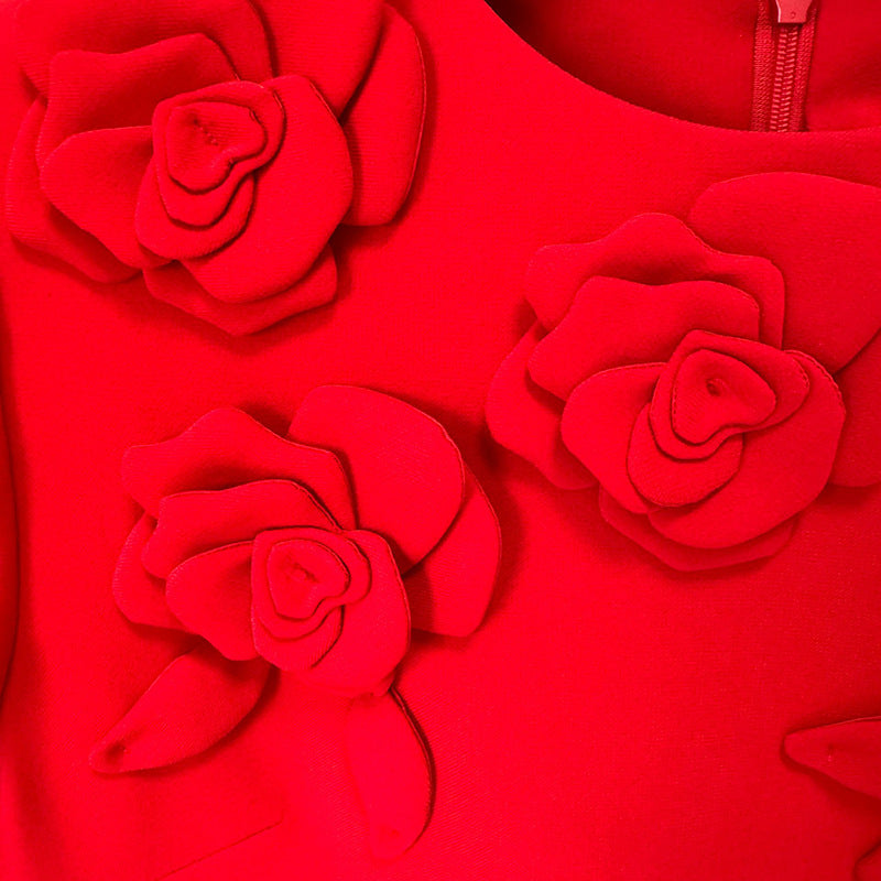 Trendy Fashion Three-dimensional Flower Sleeve Dress Dresses