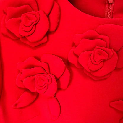 Trendy Fashion Three-dimensional Flower Sleeve Dress Dresses