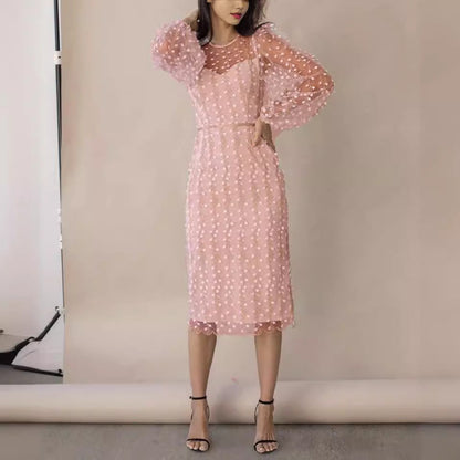 Classy Lady Temperamental Embroidered Mesh Dress Dresses