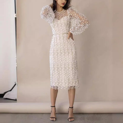 Classy Lady Temperamental Embroidered Mesh Dress Dresses