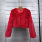 Women's Imitation Tuscan Fur Korean Style Solid Coats